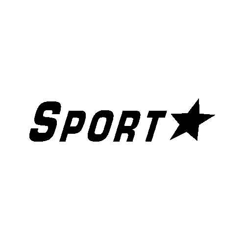 スポーツスター